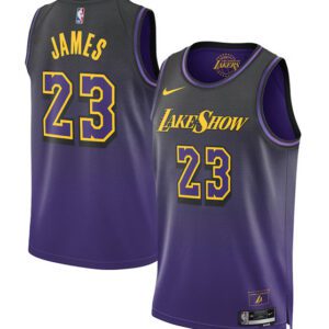 Los Angeles Lakers #23 LeBron James Purple 2024/25 City Edition Swingman Stitched Basketball Jersey