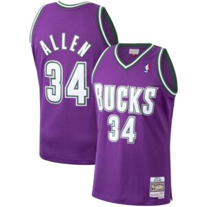 Ray Allen Milwaukee Bucks 2000/01 Hardwood Classics Swingman Jersey - Purple